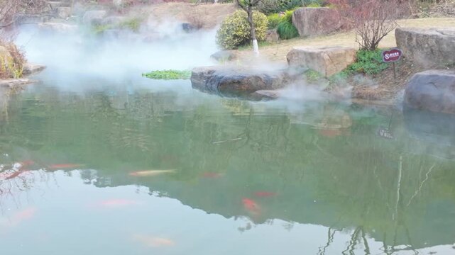 Pond Koi and Nebulized Landscape