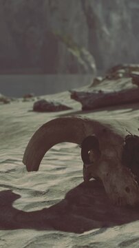 A large fossilized skull lies on a sandy beach near a peaceful river. Surrounding rocks and vegetation add a sense of mystery to the tranquil setting during the low light of dusk.