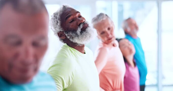 Senior class, fitness or stretching with coach for exercise, health and wellness together in studio. Elderly group, team or instructor with warm up in row or line for pilates lesson or session in gym