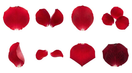 Red rose petal set including single, paired, and grouped variants with different angles isolated. Romantic floral decoration and wedding confetti collection.