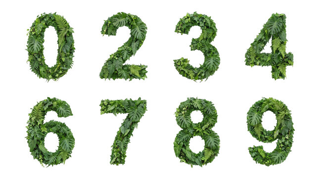 Green leaf number set including digits zero two three four six seven eight and nine isolated. Nature typography and botanical font design.