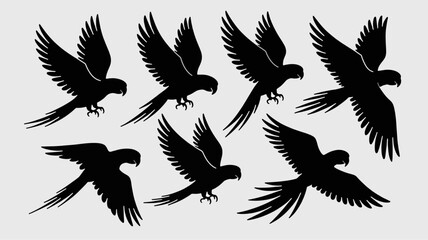 Obraz premium Macaw Silhouette's Flight: An artistic display showcases a flock of elegant macaw silhouettes in mid-flight, capturing the bird's graceful form and the essence of avian freedom.