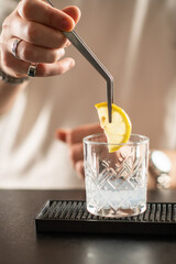 Professional barman preparing gin cocktail, adding fresh lemon slice into glass. Highlights aroma, freshness, and elegant mixology style.
