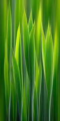 Fototapeta premium A Serene Springtime Landscape Featuring Lush Green Blades of Grass and Tranquil Nature s Beauty