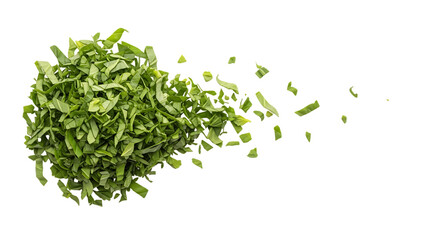 Fresh green basil leaves exploding in motion isolated on a transparent background herbs