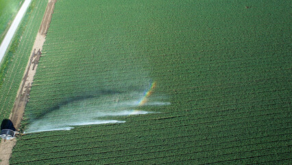 Sprinkler irrigation system waters crops in Po Valley, promoting agricultural resilience © august.columbo