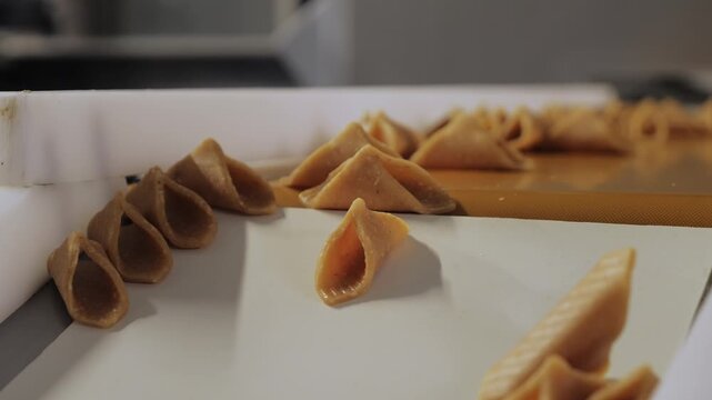 Close-up of rows of cone-shaped chocolate shells in dark and lighter coatings on factory tray.
