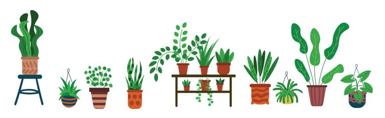 plants in pots vector illustration © Luma