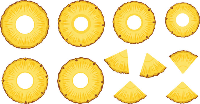 Fresh Pineapple Slices and Rings Vector Set Isolated on White Background Tropical Fruit Illustration Collection