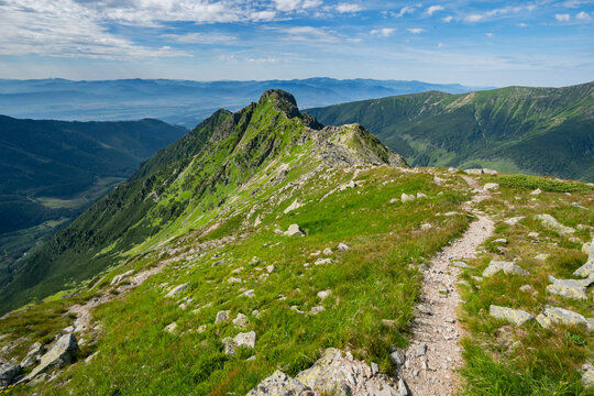 View of a vibrant green mountain ridge with a narrow dirt trail winding along its spine under a blue sky with fluffy clouds, Western Tatras, Zilinsky kraj, Slovakia.