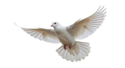 Fototapeta premium Elegant white dove flying isolated PNG on transparent background, symbol of peace and freedom for design projects