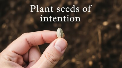 Hand holding a single sunflower seed for planting