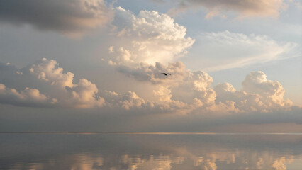Sky Reflection Landscape