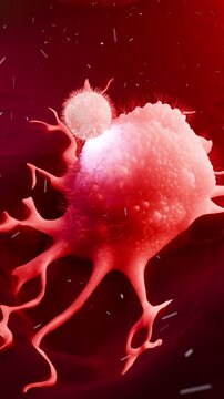 3D Medical Animation of a Cytotoxic T-Cell Attacking and Destroying a Cancer Tumor Cell