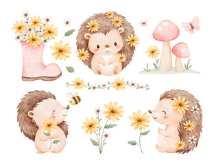 Watercolor Illustration Set of Hedgehog and Flowers in Spring Season