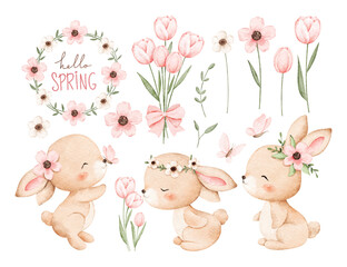 Watercolor Illustration Set of Rabbit and Pink Flowers in Spring Season