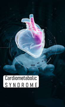 Cardiometabolic CKM Syndrome 3D Visualization: Integrated Heart, Kidney, and Pancreatic Health with 4D Flow MRI Data Overlays