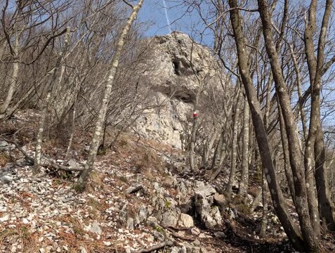 Sentiero roccioso che sale attraverso un bosco di alberi spogli, conducendo verso una parete rocciosa imponente