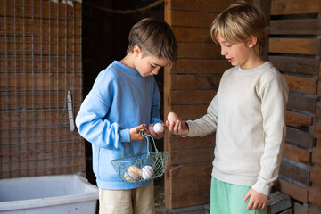 Two young farmers comparing fresh eggs in chicken coop © Arianne