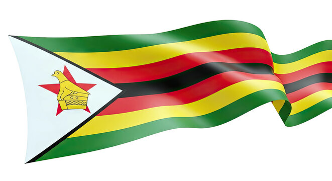 Zimbabwean Flag Waving