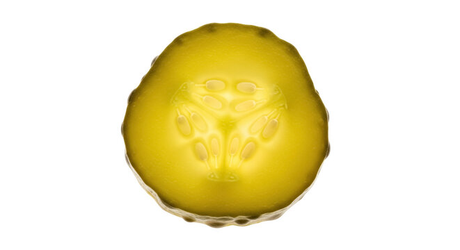 Pickle slice isolated PNG on transparent background, brined cucumber with seeds for food ingredient and snack use