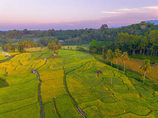 Obraz premium Beautiful morning view in Indonesia, panoramic landscape of rice fields with mountain ranges and clear sky