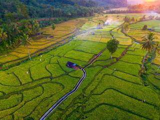Beautiful morning view in Indonesia, panoramic landscape of rice fields with mountain ranges and clear sky