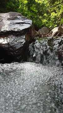 mountain river in the forest