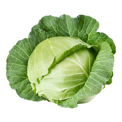 Fototapeta premium Fresh Whole Green Cabbage – High-Resolution Studio Photo, 8K Commercial Food Photography