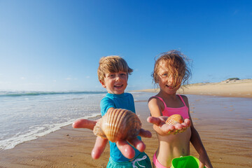 Happy kids showing seashells found on beach during sunny day