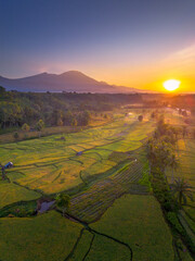 Beautiful morning view in Indonesia, panoramic landscape of rice fields with mountain ranges and clear sky