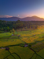 Beautiful morning view in Indonesia, panoramic landscape of rice fields with mountain ranges and clear sky