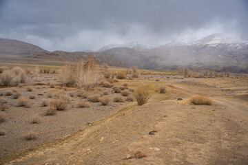 Gravel road through deserted valley leading from Mars Altai Russia. Remote pathway to famous...