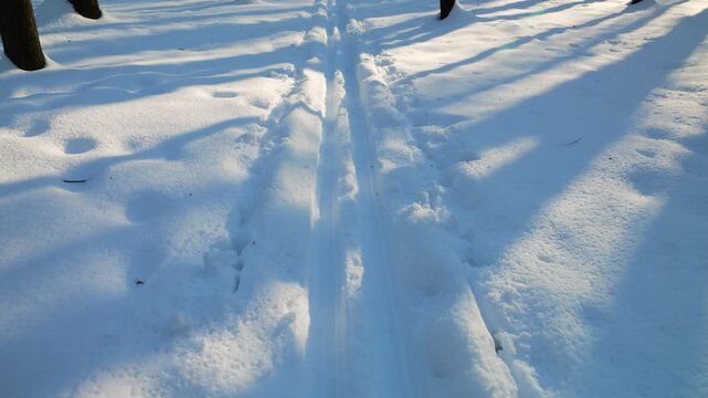 Fresh ski tracks cut through pristine white snow. Sunlight casts long shadows across the parallel grooves. A perfect winter scene for outdoor sports and recreation.