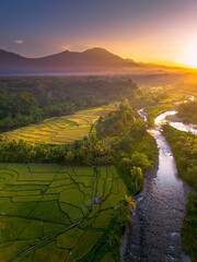 Beautiful morning view in Indonesia, panoramic landscape of rice fields with mountain ranges and clear sky