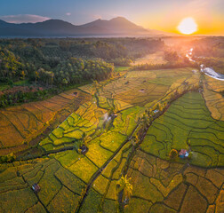 Beautiful morning view in Indonesia, panoramic landscape of rice fields with mountain ranges and clear sky
