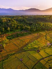 Beautiful morning view in Indonesia, panoramic landscape of rice fields with mountain ranges and clear sky