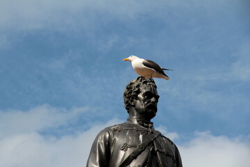 Somedays you are the stature, other days you are the seagull