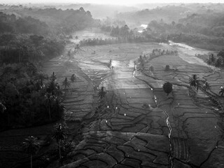 Beautiful morning view in Indonesia, panoramic landscape of rice fields with mountain ranges and clear sky