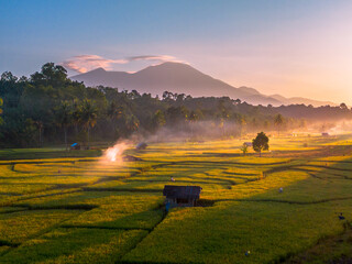 Beautiful morning view in Indonesia, panoramic landscape of rice fields with mountain ranges and clear sky