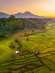 Beautiful morning view in Indonesia, panoramic landscape of rice fields with mountain ranges and clear sky