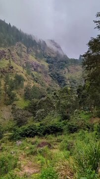 Misty mountains and lush green nature in the Bambarakanda Ella waterfall region of Sri Lanka