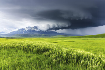 Obraz premium Stormy sky dark cloud mountain snow green grass field landscape dramatic nature outdoor. cold front moves with heavy clouds over lush green field and snow capped mountain creating dramatic