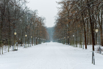The serene, wintery atmosphere of the Großer Tiergarten in Berlin, Germany, the city’s most...