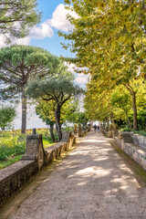Fototapeta premium Amalfi Coast, Italy. Scenic pathway lined with trees and stone walls, leading to a distant view of people walking in a lush green park under a bright blue sky