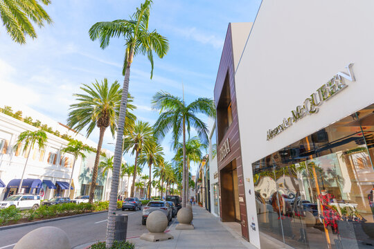 Beverly Hills, California - January 21, 2026: Palm Trees Framing Alexander McQueen on Rodeo Drive