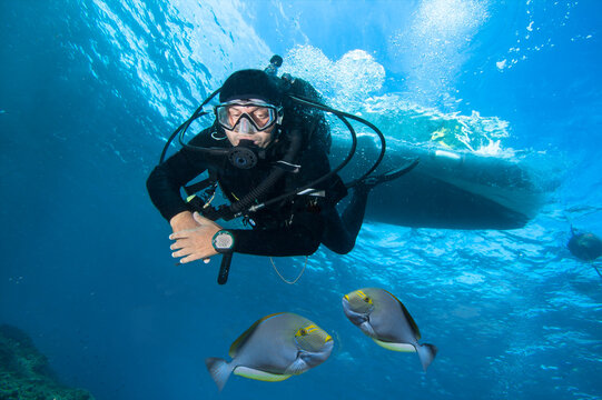 Diver observes underwater life during a decompression stop under a ship.