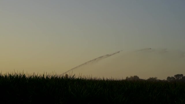 Irrigation of a field in front of a sunset. Agriculture in a hot summer in France