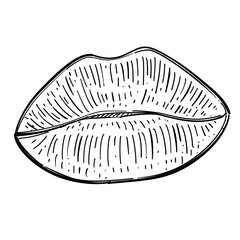Human Lips Mouth Vector Line Art Hand Drawn Illustration