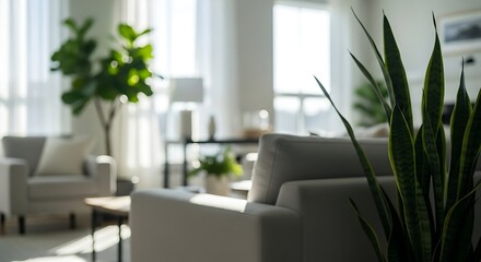Fototapeta premium Blurred of Cozy Modern Living Room with Plants and White Sofas